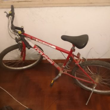 Bicicleta Dolphin rodado 26 usada